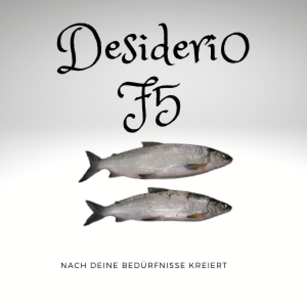 bindaris Desiderio F5 für Felchen